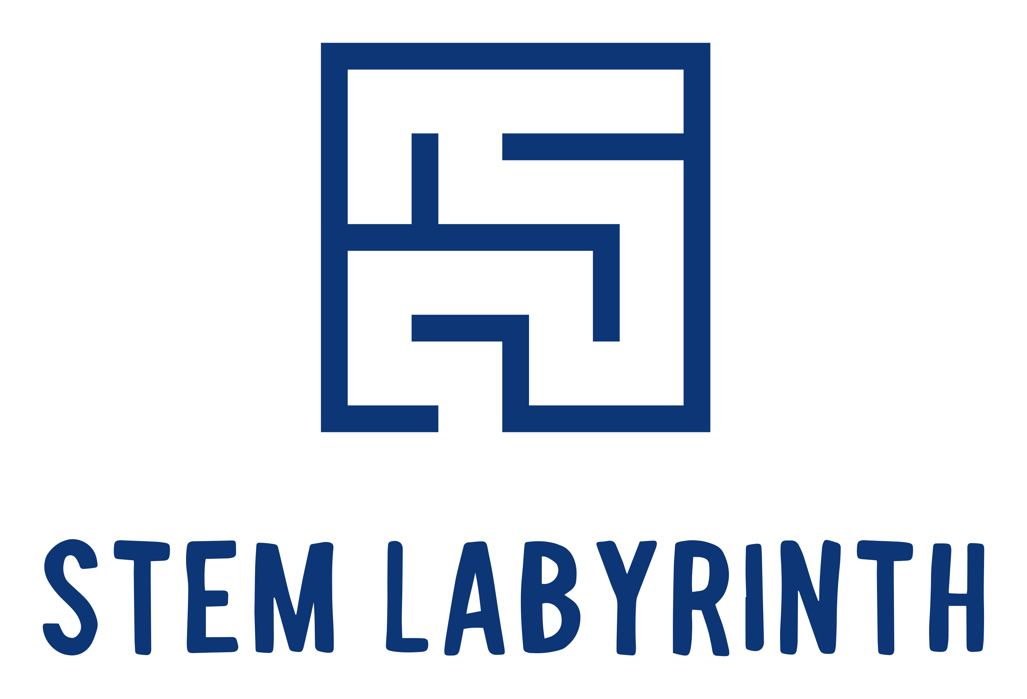 STEM Labyrinth